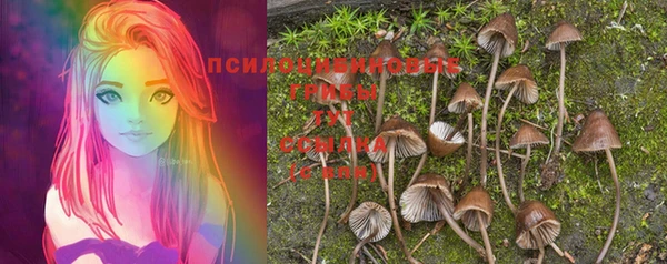 ПСИЛОЦИБИНОВЫЕ ГРИБЫ Армянск